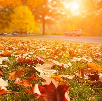 Why we love fall in Indianapolis